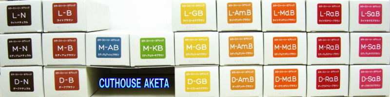アリミノ・オアシック酸性カラー・ブラウンライン9系色・23種類